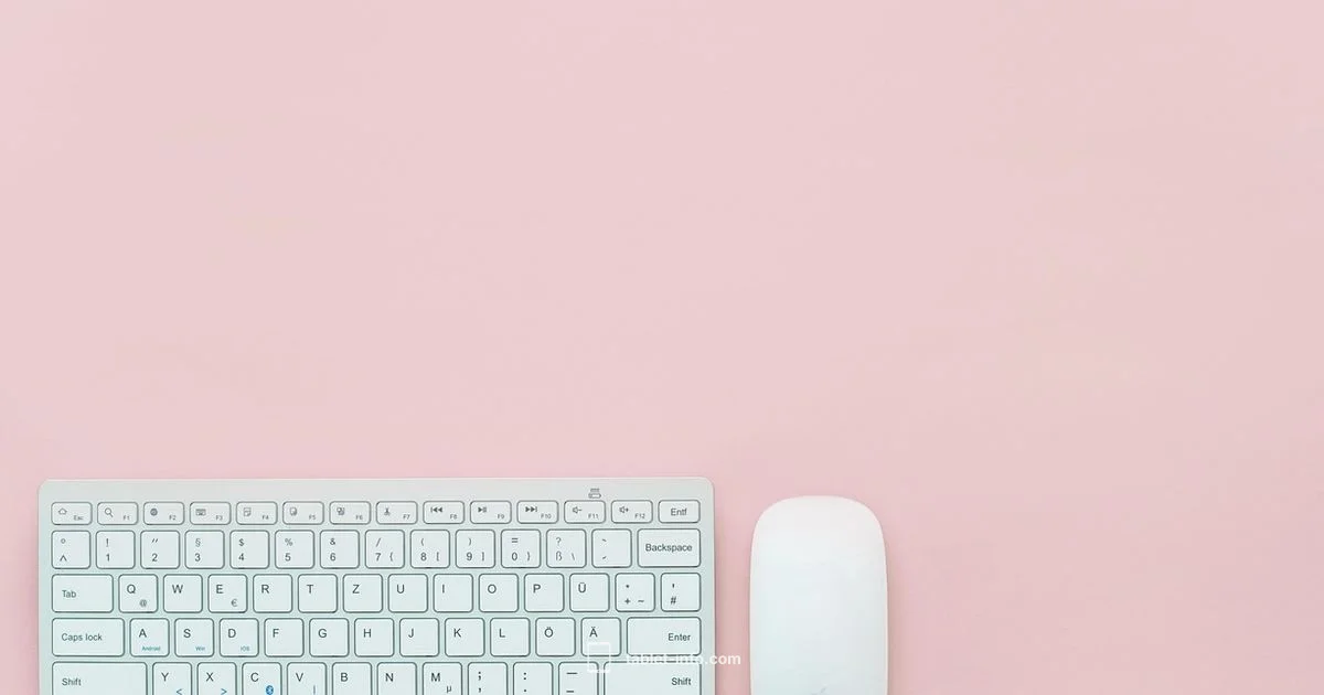 Next iPad Outlook - Tablet Info