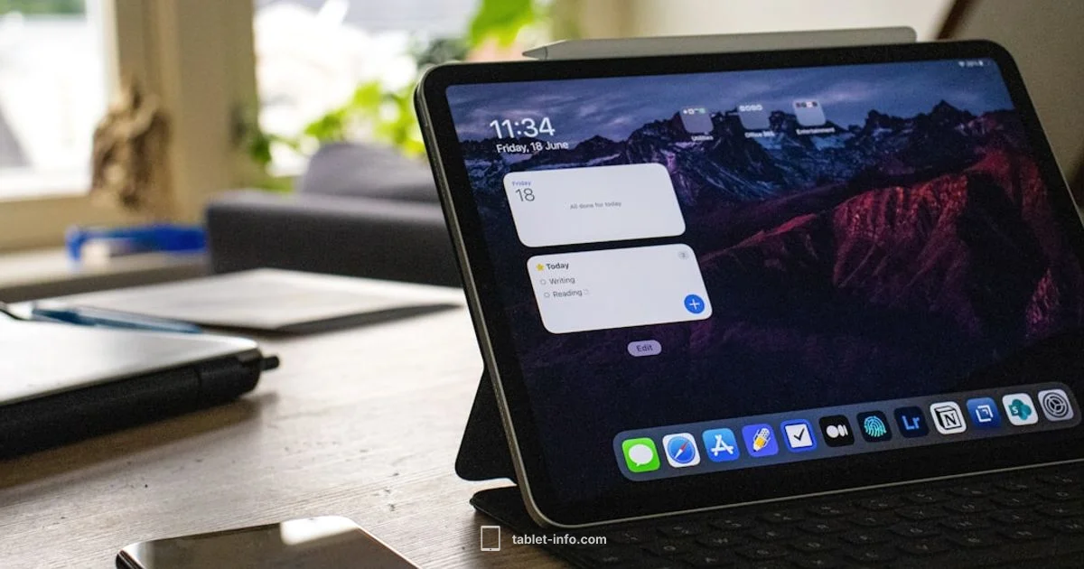 Disabled iPad Guide - Tablet Info