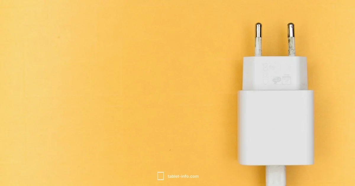 iPad Won't Charge - Tablet Info