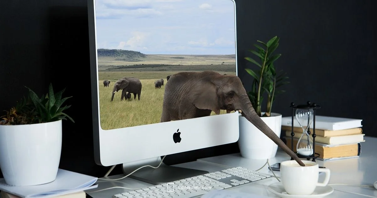 Reset Without Passcode - Tablet Info