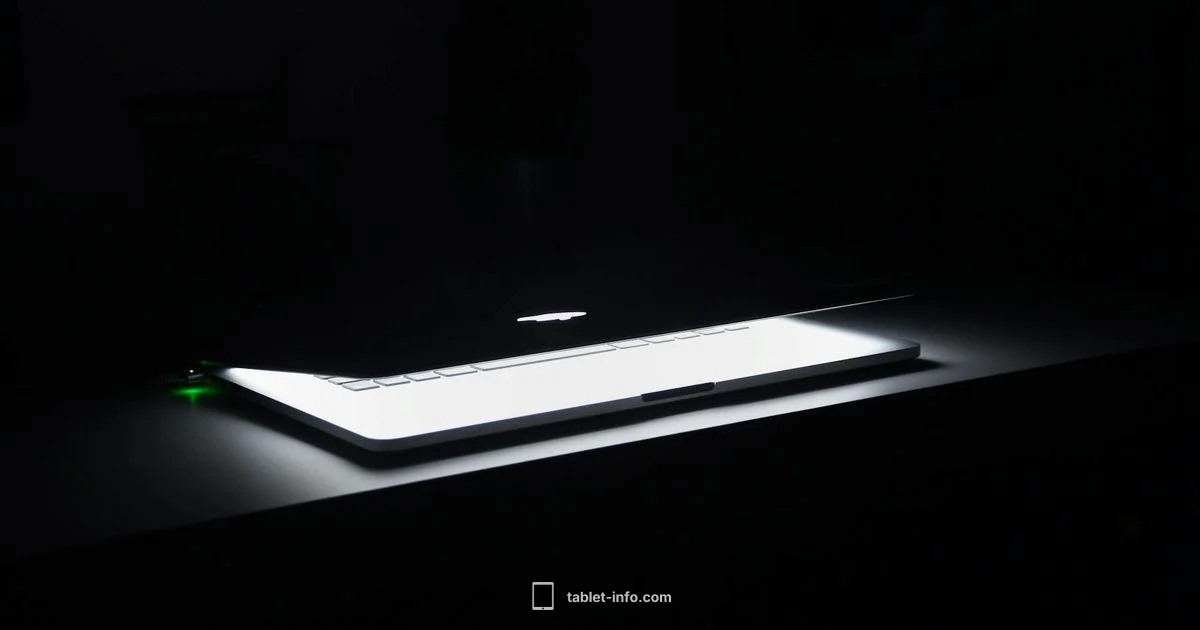 Resolve iPad Unavailability - Tablet Info