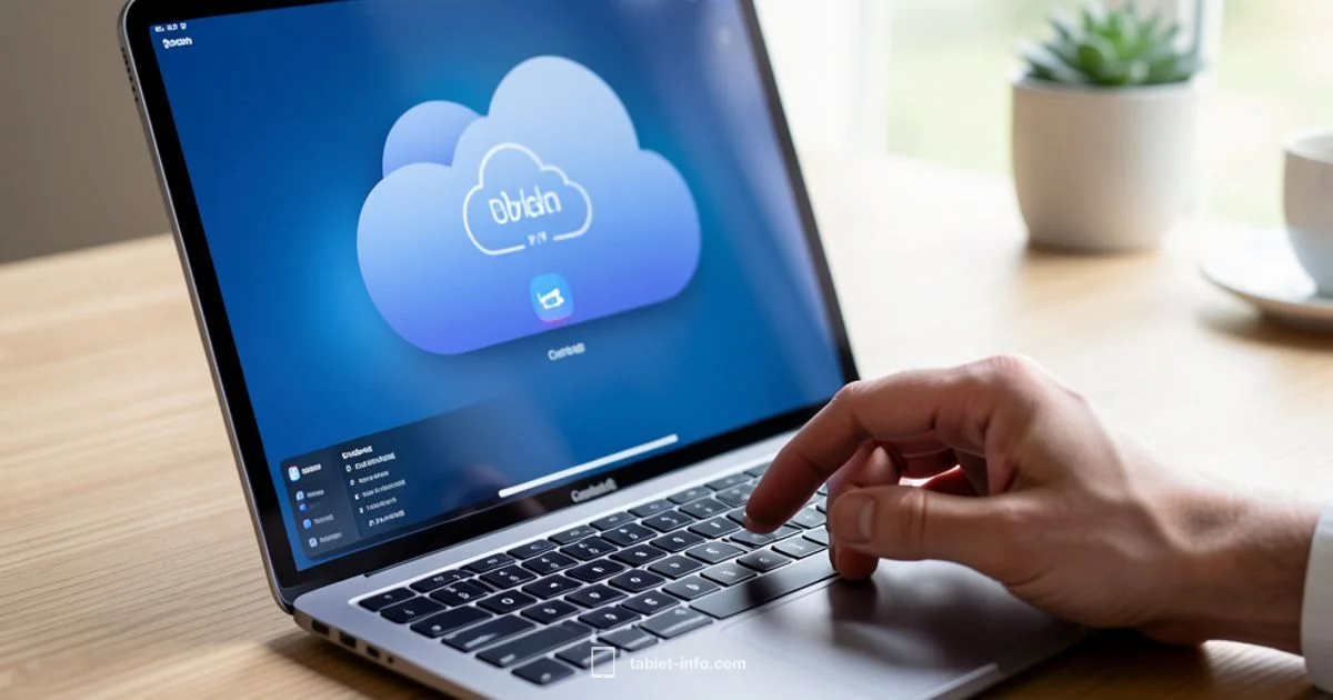 iPad Backup Basics - Tablet Info