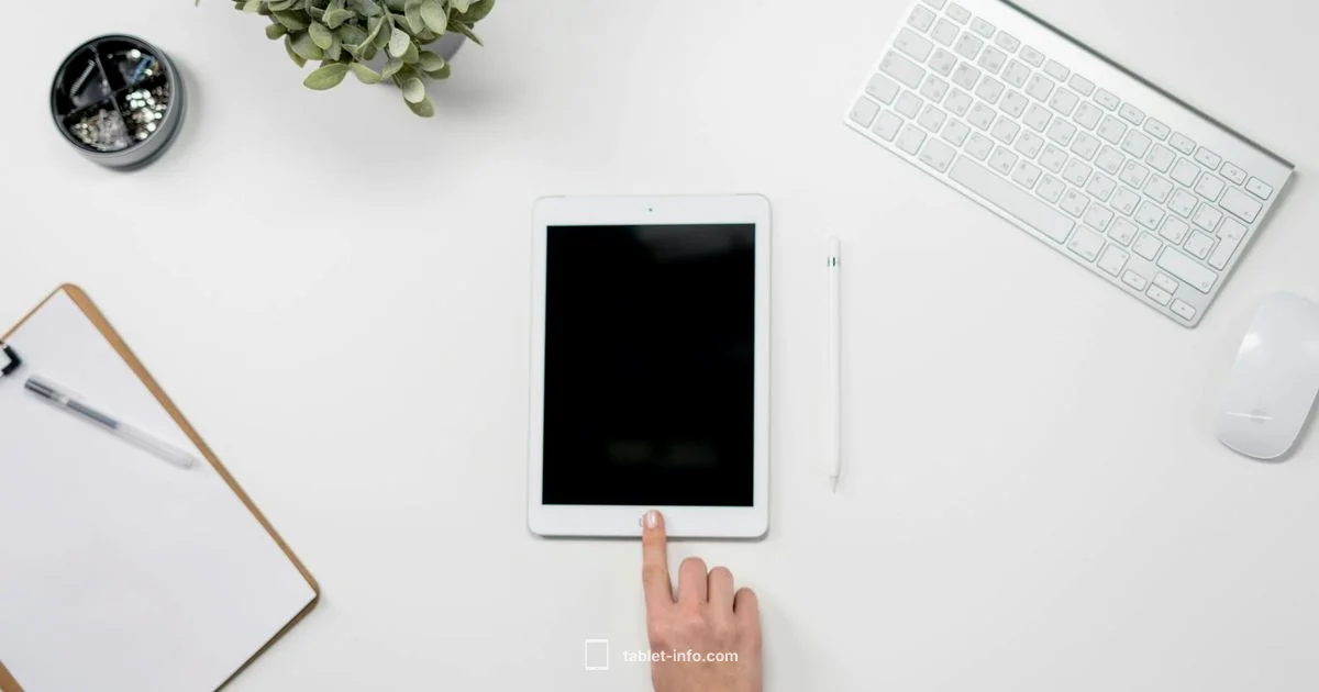 iPad Options Compared - Tablet Info