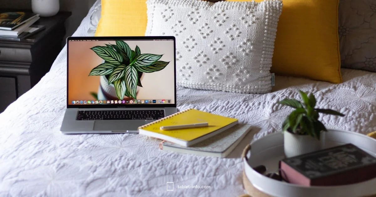 AppleCare for iPad - Tablet Info