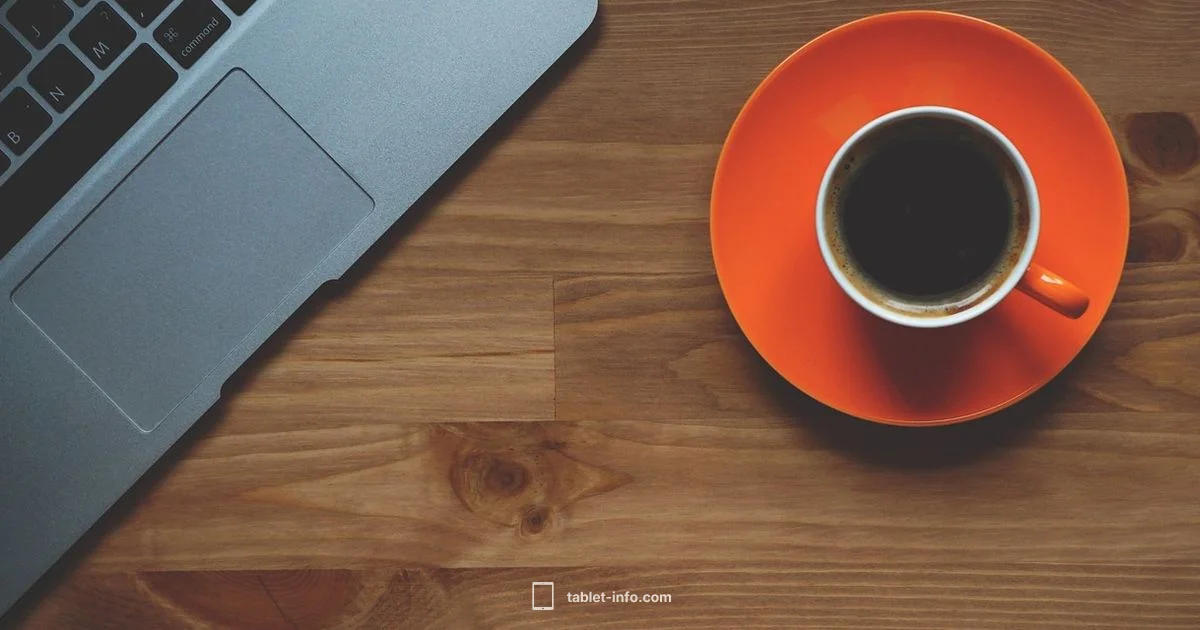 iPad Independent Use iPad Independent Use - Tablet Info