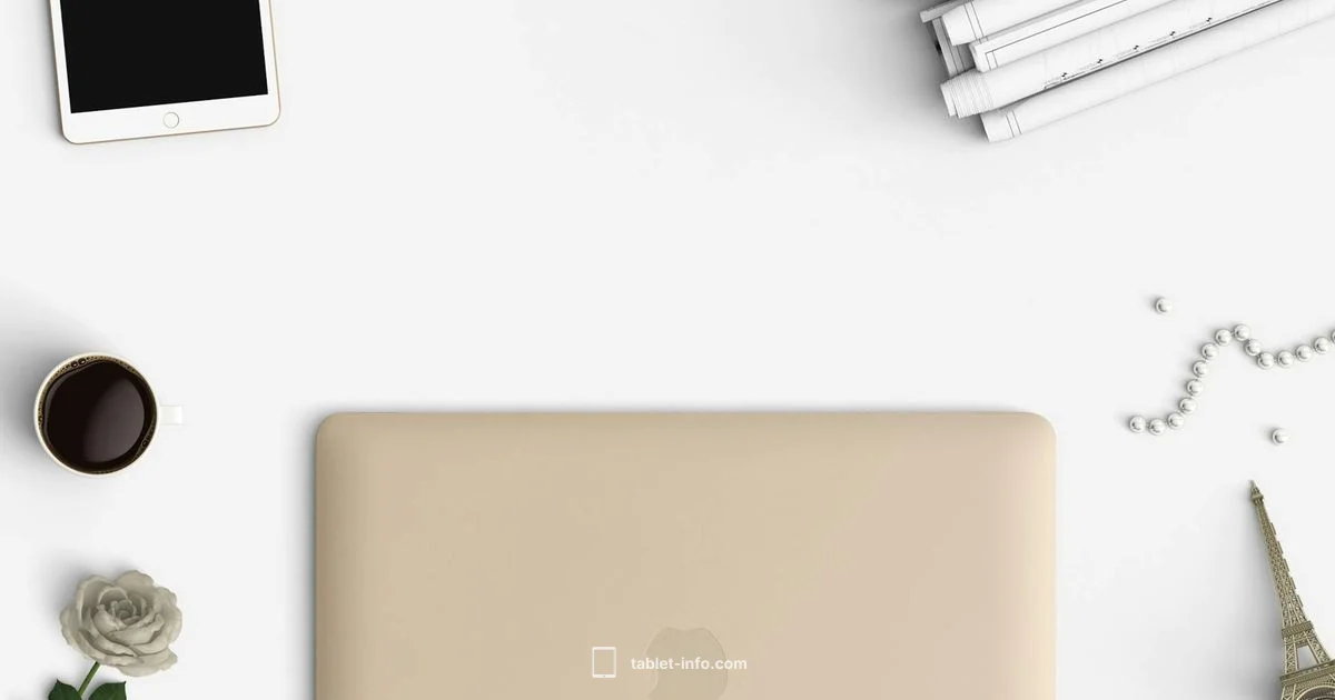 iPad Virus Shield - Tablet Info