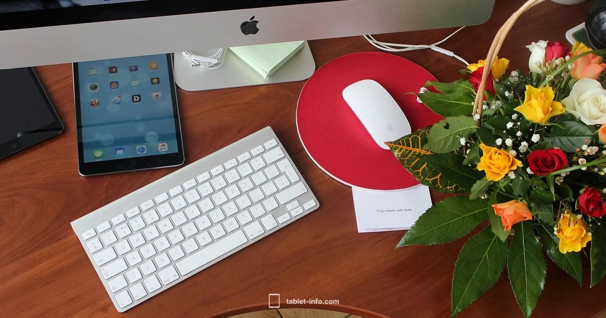 Sleek iPad Aesthetic - Tablet Info