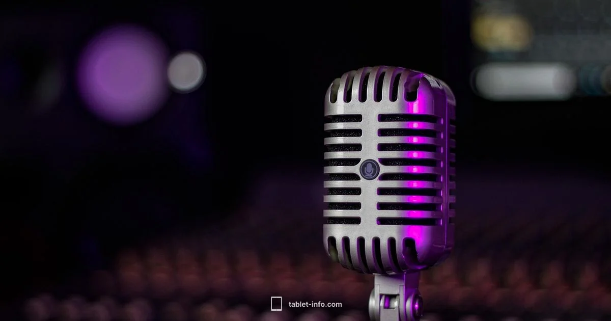 iPad Mic Locations - Tablet Info