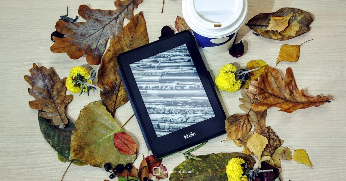 Kindle vs iPad - Tablet Info