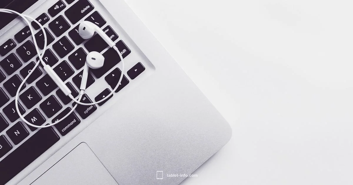 Biggest iPad Size - Tablet Info