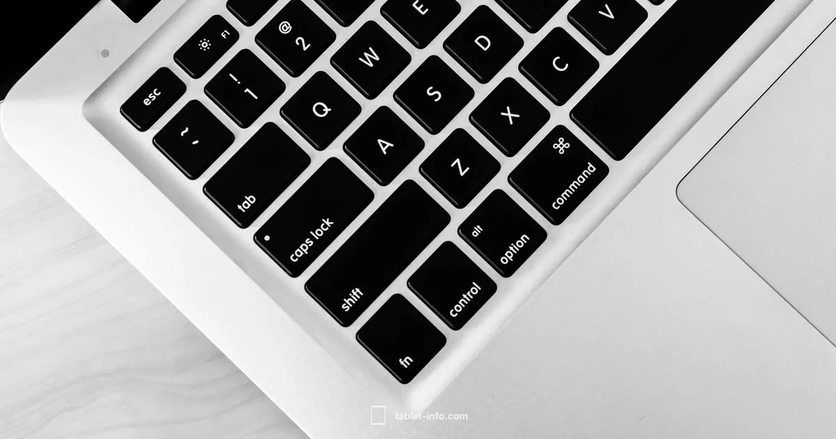 A16 iPad Mastery - Tablet Info