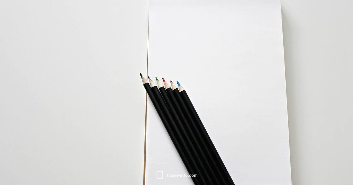 Digital Sketch on iPad - Tablet Info