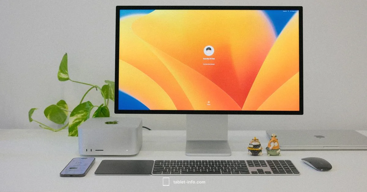 iPad Air 5th Gen 256GB - Tablet Info