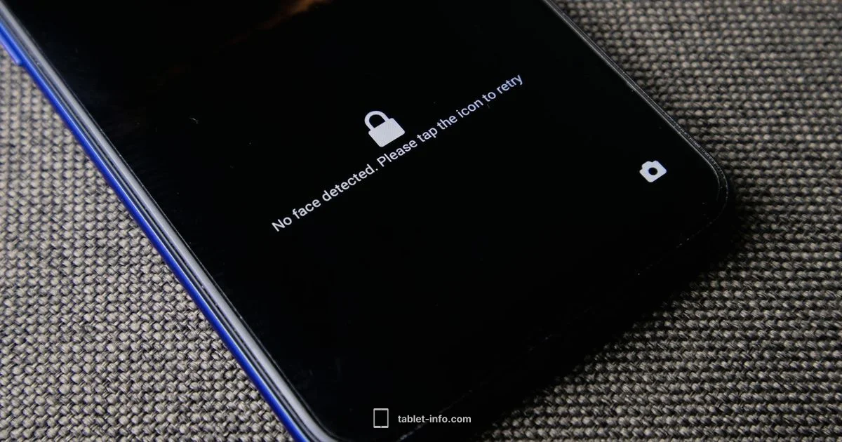 Lost Mode Guide - Tablet Info