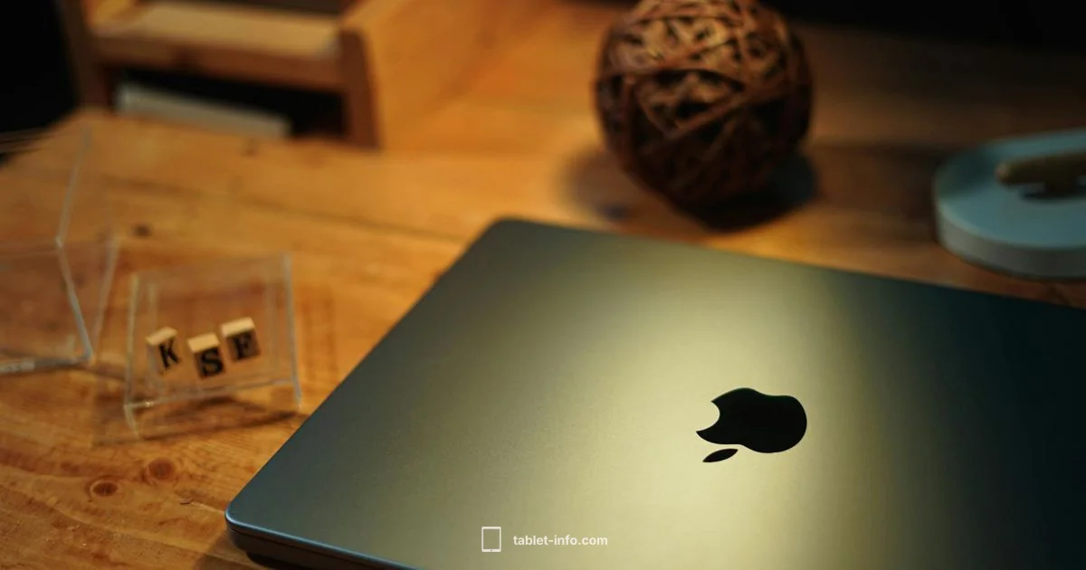 ipad Case Zugu Review - Tablet Info