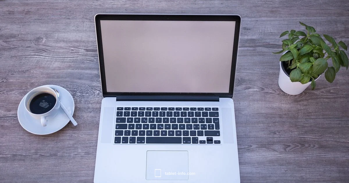 Keep iPad Awake Keep iPad Awake - Tablet Info