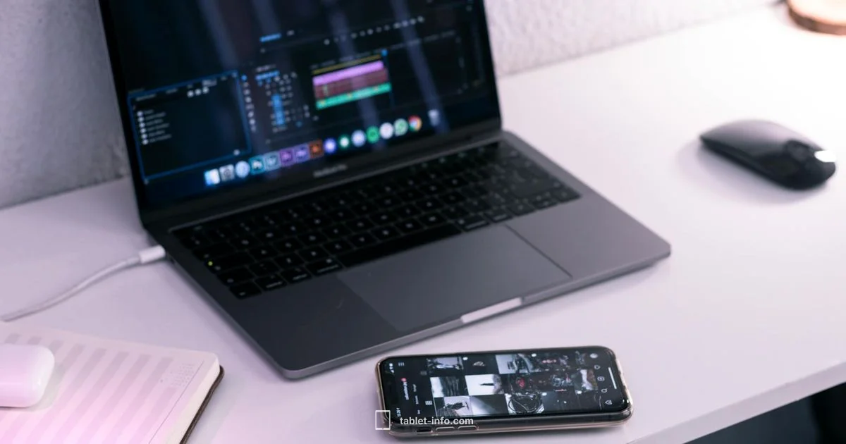 Mini 4 Case Guide - Tablet Info