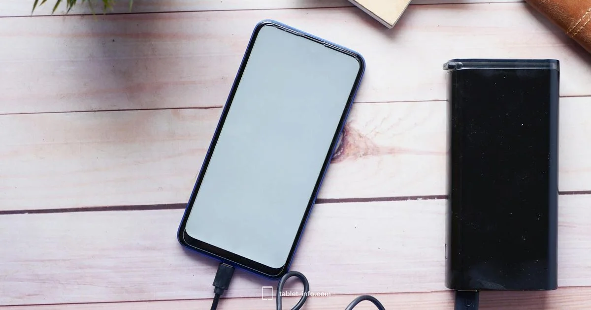 Is Your iPad Charging? - Tablet Info