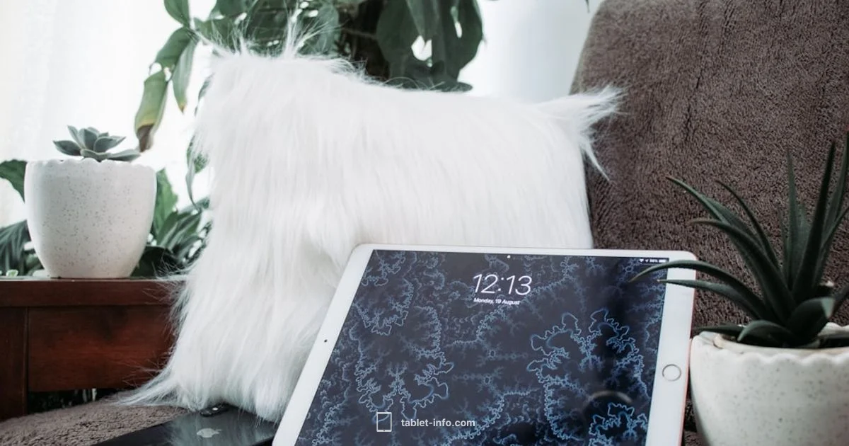 Resetting iPad Password - Tablet Info