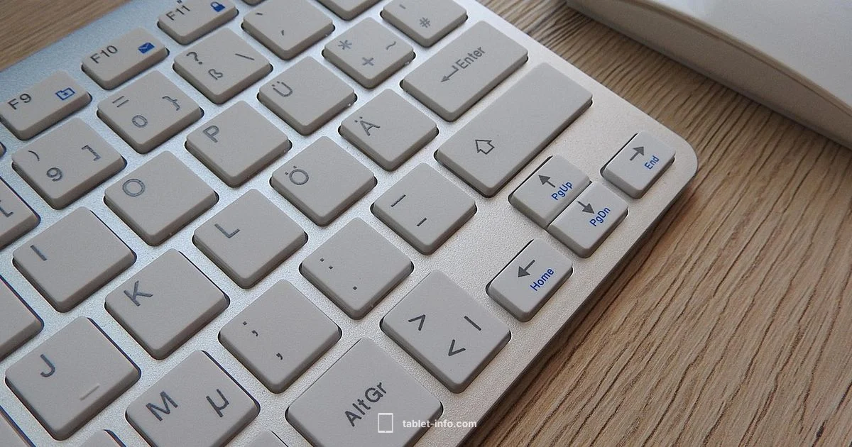 Mouse on iPad - Tablet Info