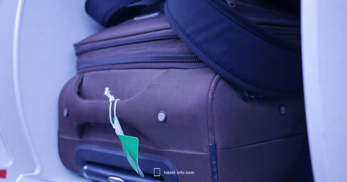 Hold Luggage Guide Hold Luggage Guide - Tablet Info