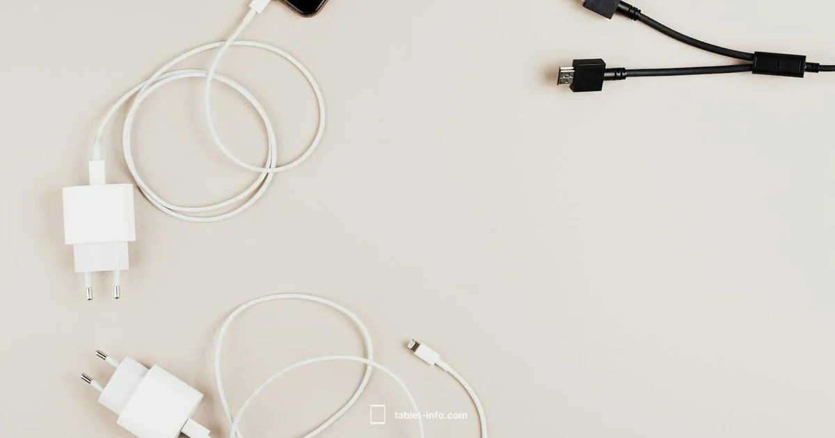 iPad Charging Basics iPad Charging Basics - Tablet Info