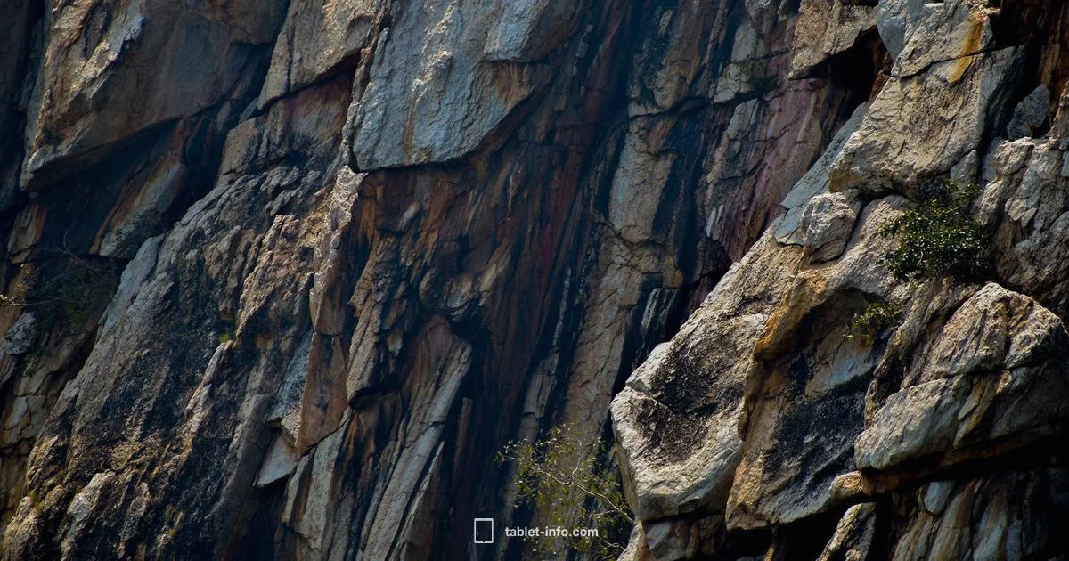 What iPads Are Still Supported - Tablet Info