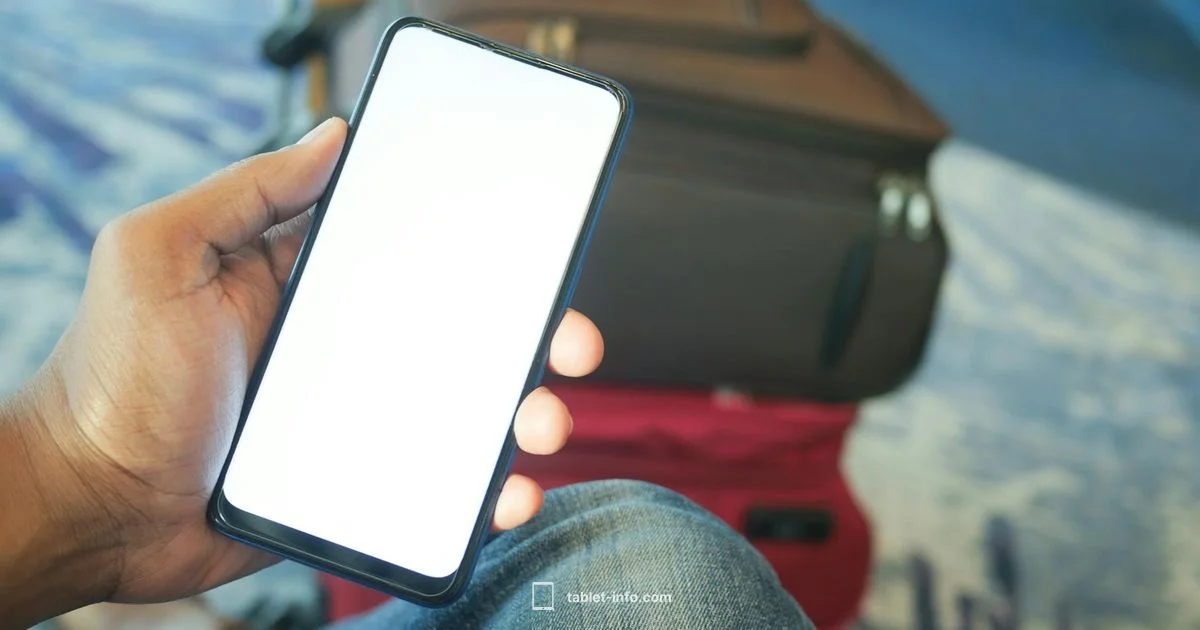 Checked Luggage Safety - Tablet Info