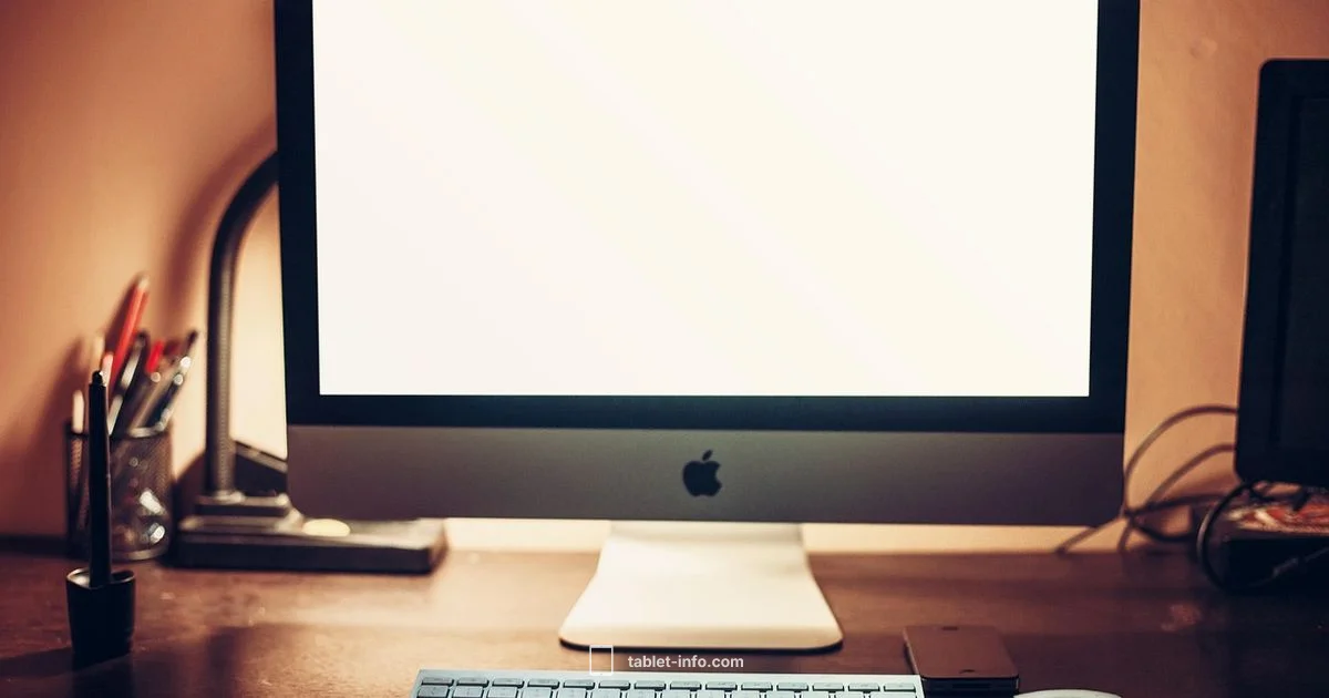 Apple iPad Buying Guide - Tablet Info