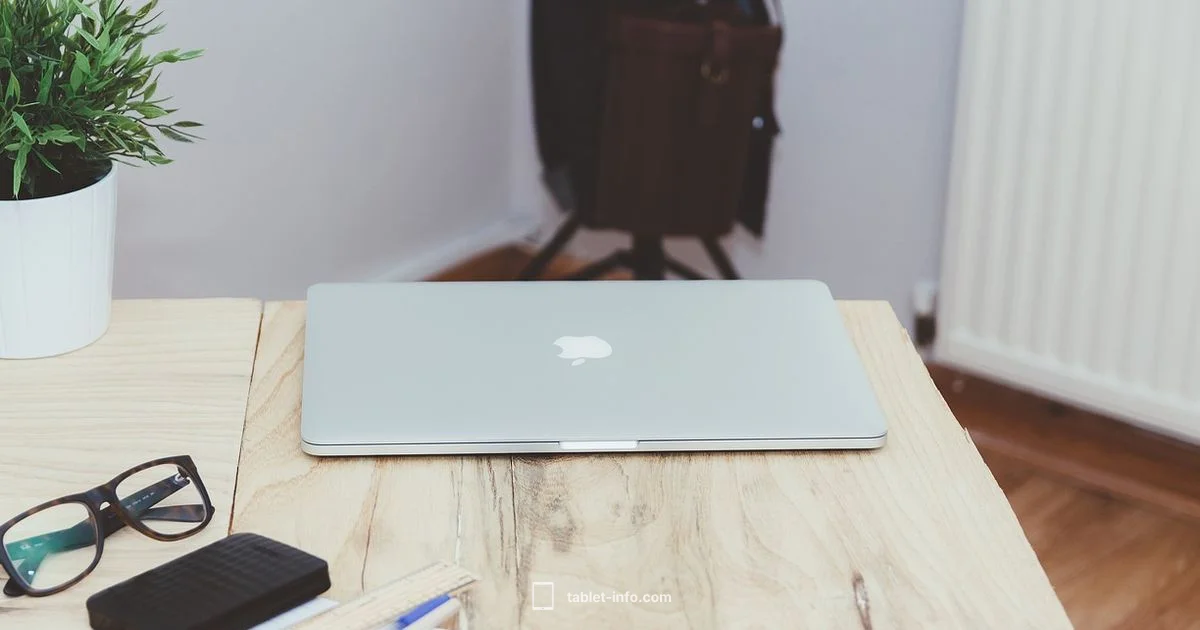 Pro Pen Guide Pro Pen Guide - Tablet Info