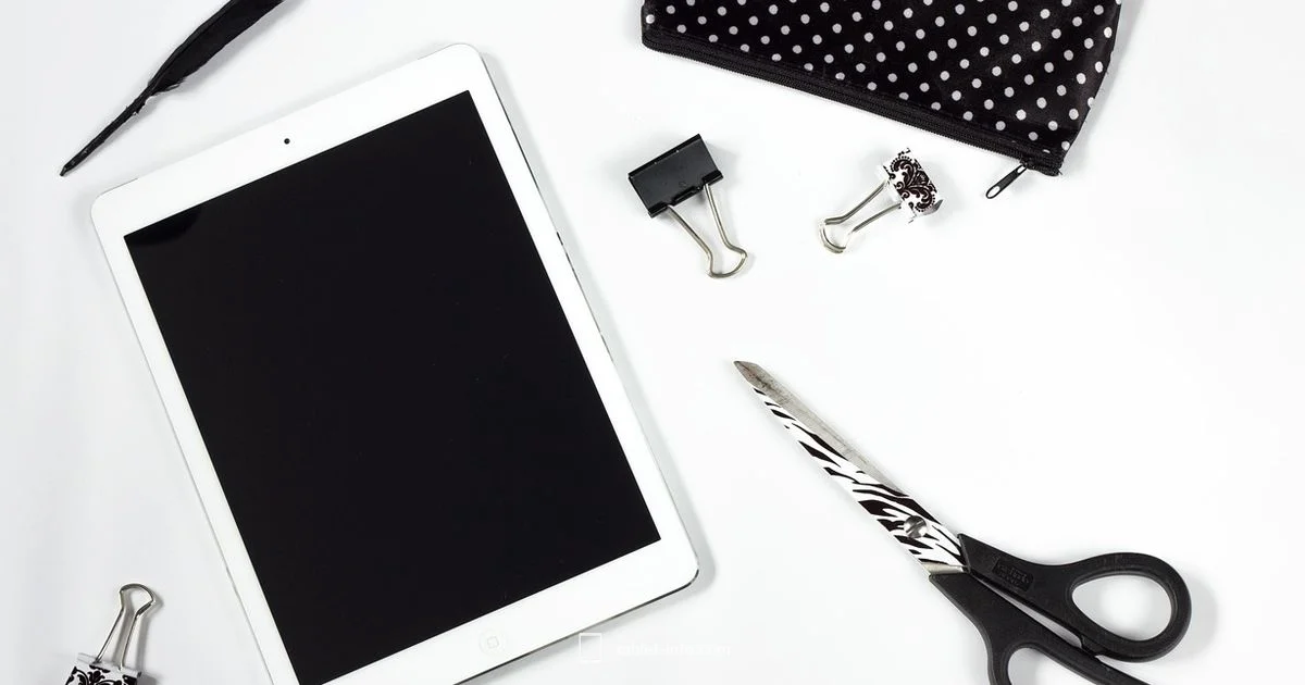 MagSafe on iPad - Tablet Info