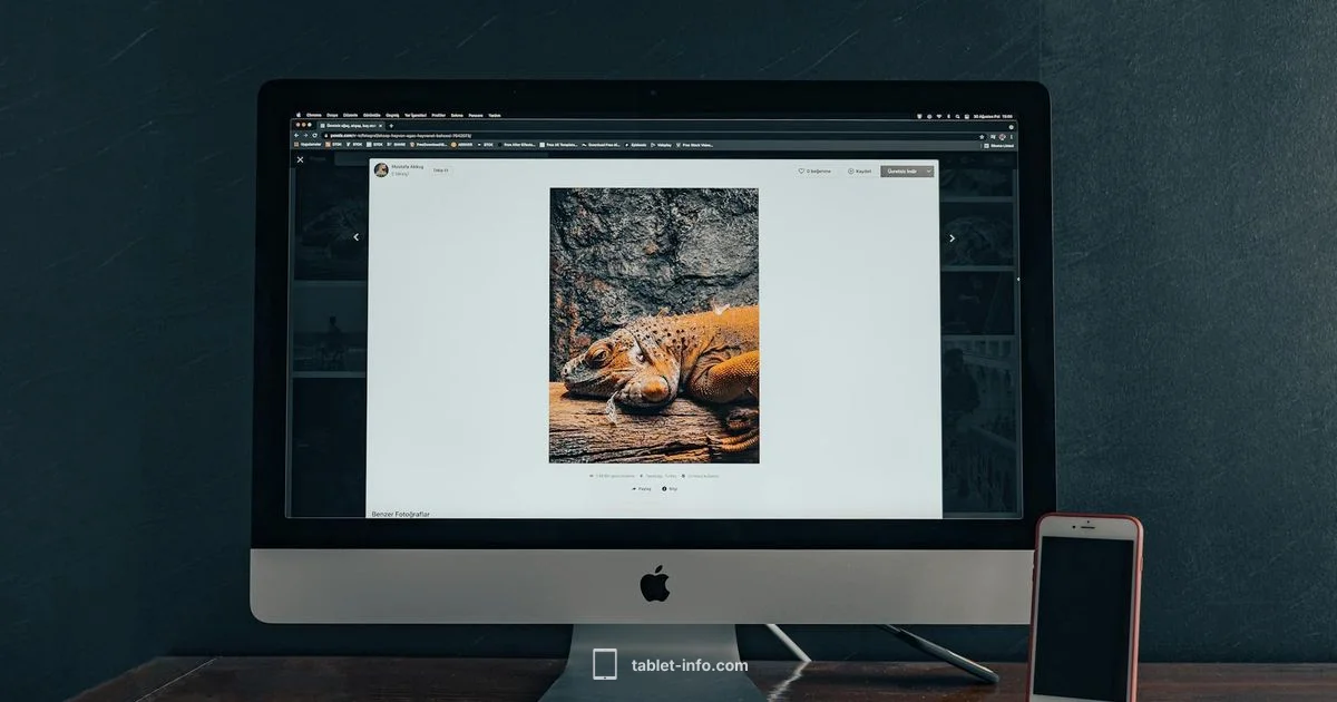 Compact Power - Tablet Info