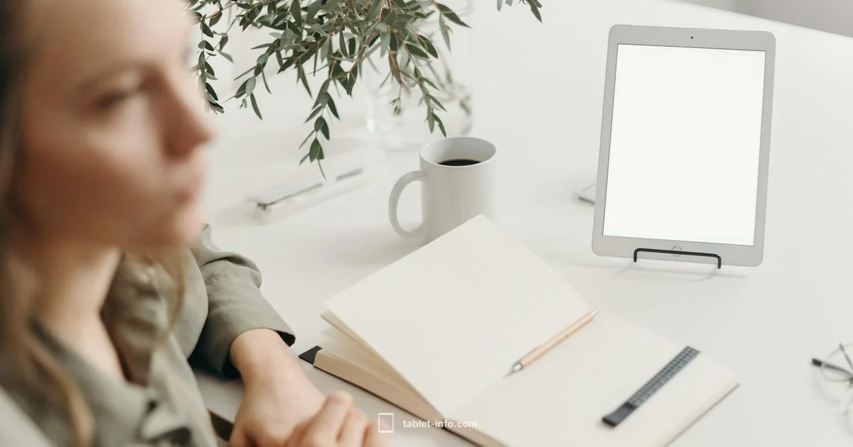 No Sound on iPad - Tablet Info