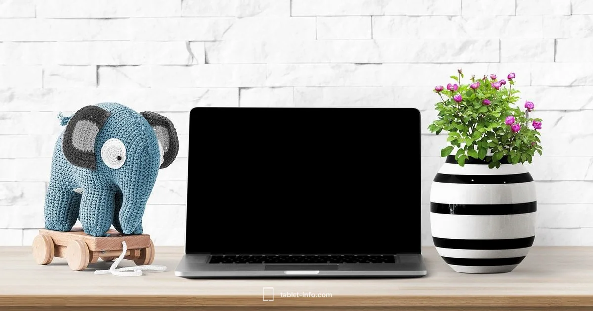 iPad vs MacBook iPad vs MacBook - Tablet Info