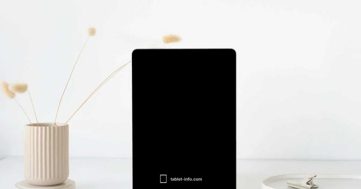 Check iPad Storage - Tablet Info