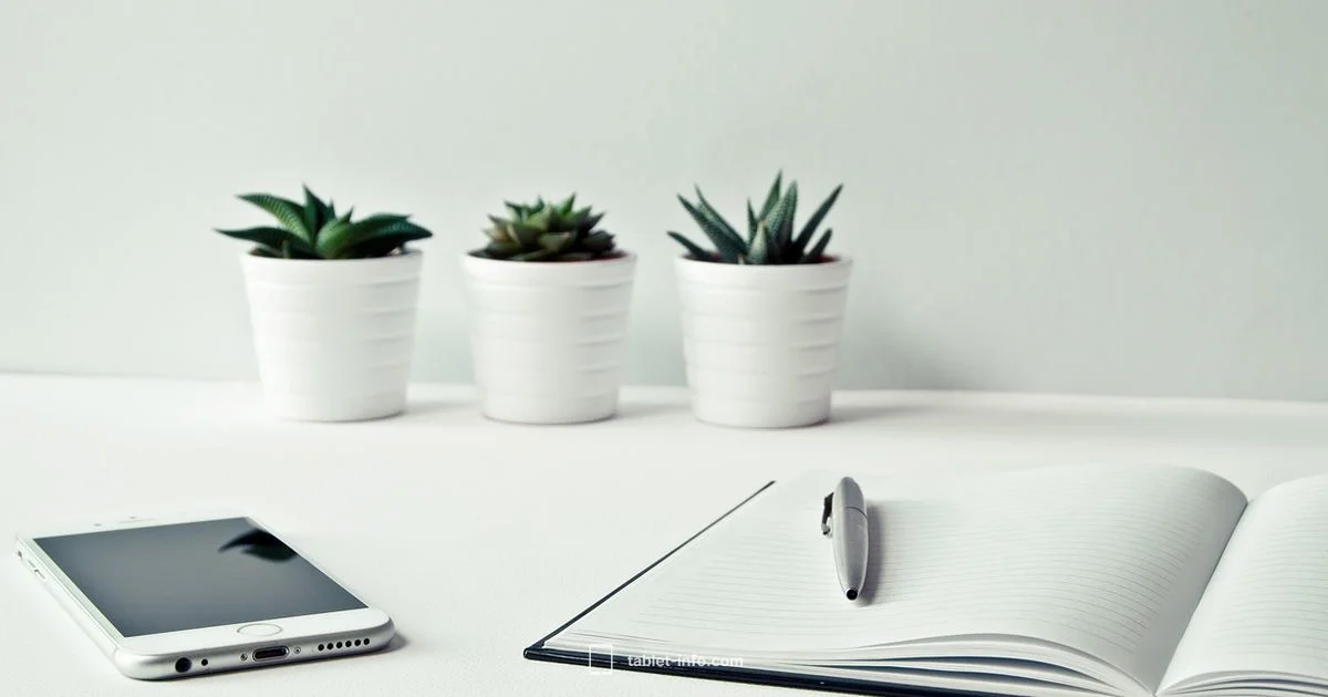 Best iPad Right Now - Tablet Info