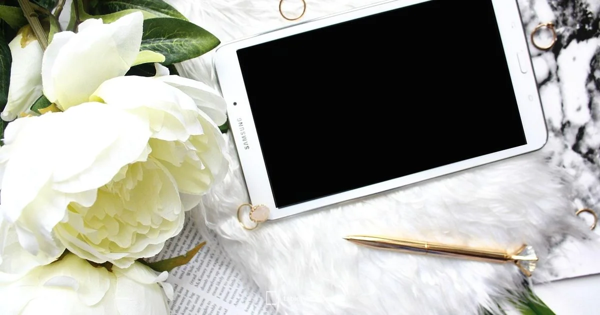 iPad as monitor - Tablet Info