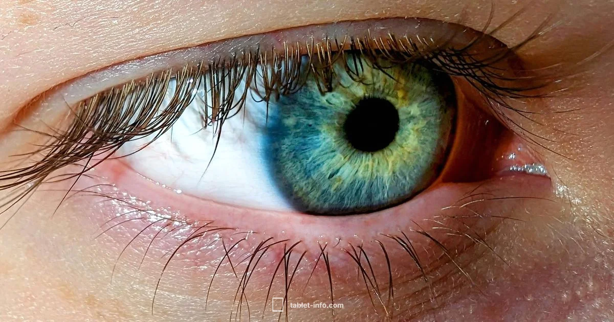 iPad Eye Health Guide iPad Eye Health Guide - Tablet Info