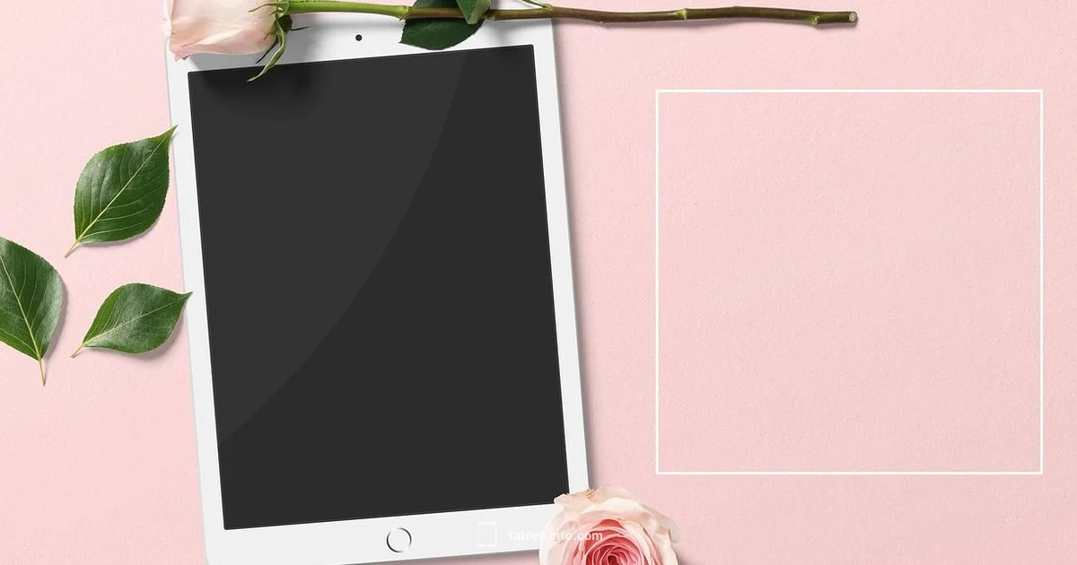 iPad Unavailable Fix - Tablet Info