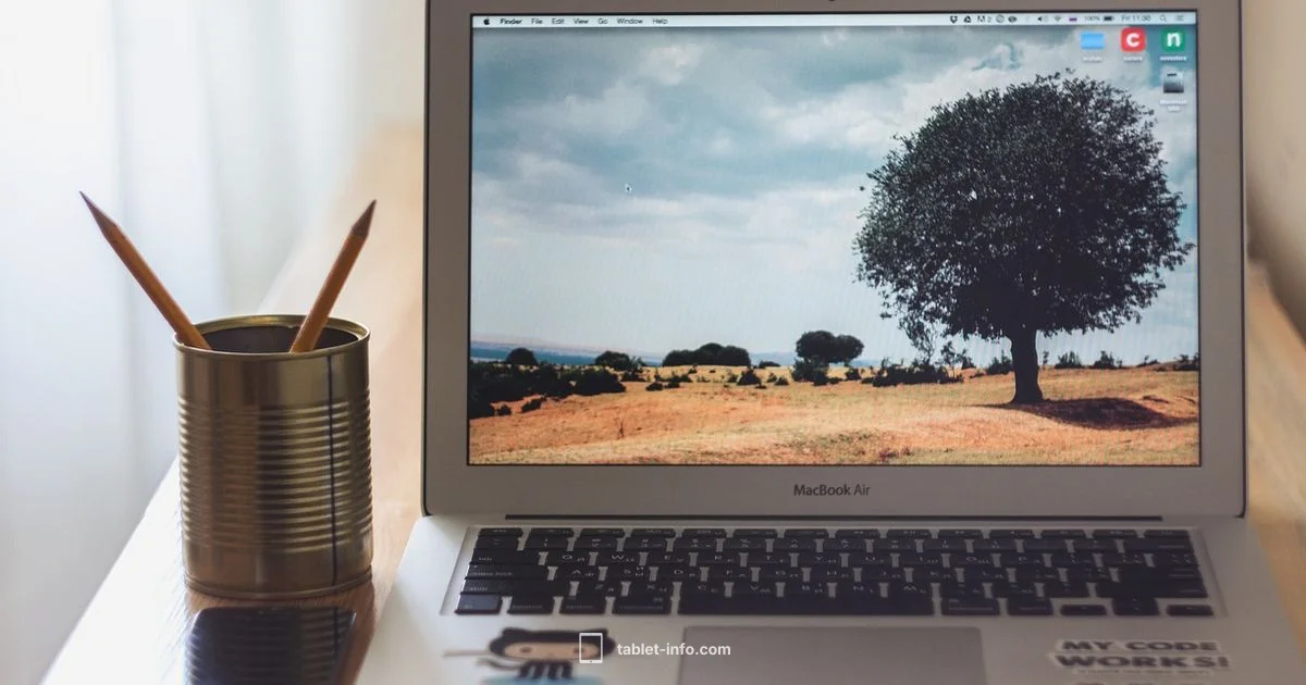 iPad Air Quick Start - Tablet Info