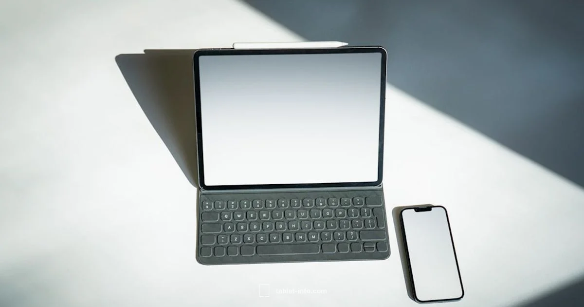 iPad eSIM Guide - Tablet Info