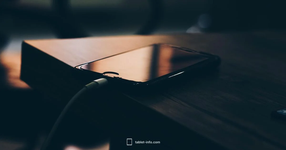 MagSafe and iPad - Tablet Info