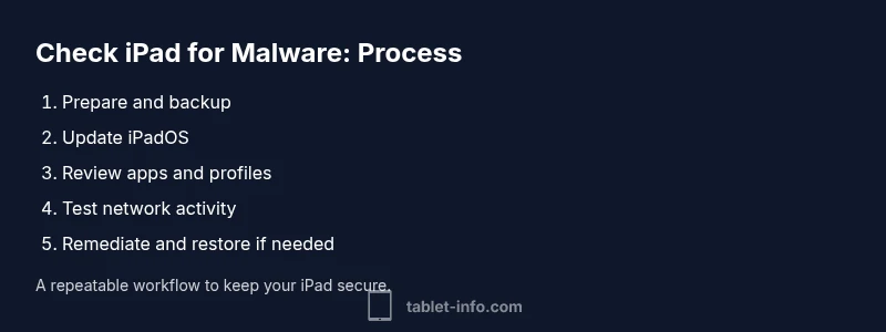 Process infographic showing malware check steps for iPad