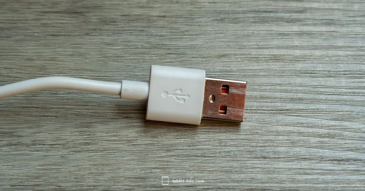 iPad Charging Fixes iPad Charging Fixes - Tablet Info