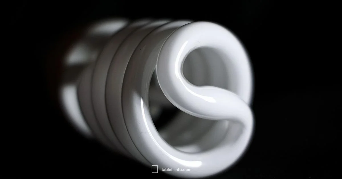 iPad Cameras 2026 - Tablet Info