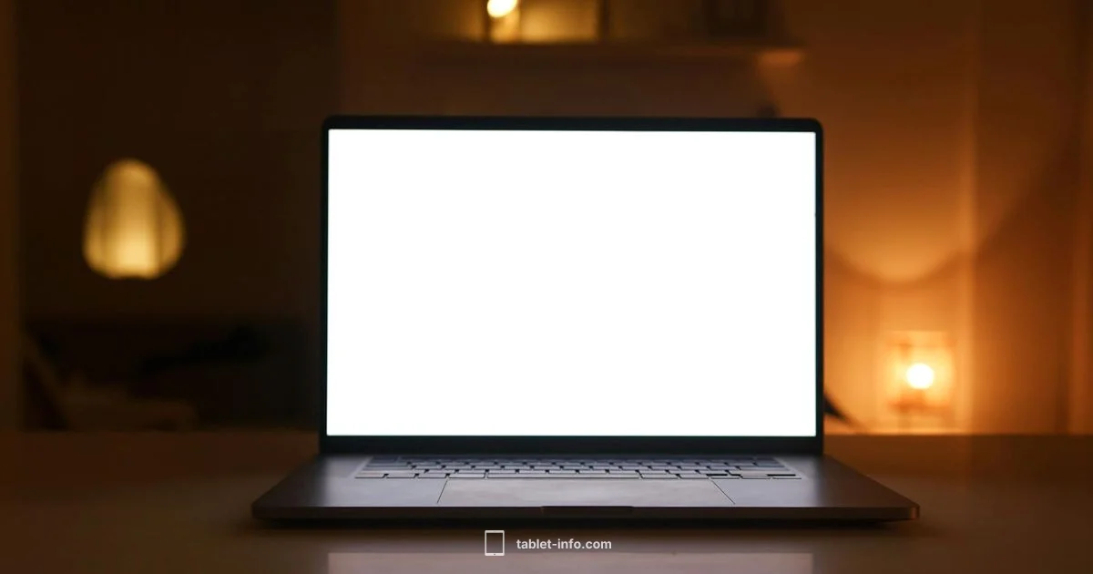 Dark iPad Screen Fix - Tablet Info