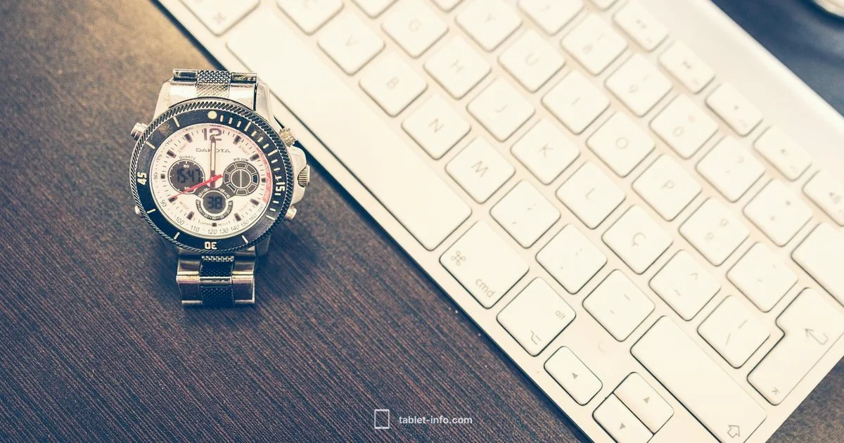 No Data Plan iPad - Tablet Info