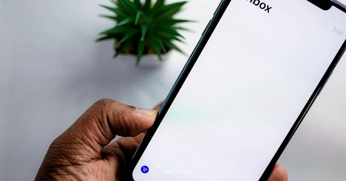 Email on iPad - Tablet Info