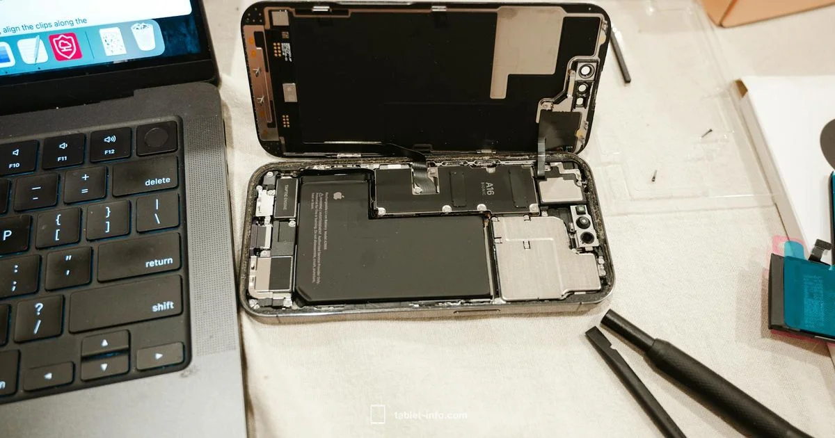 iPad Battery Costs - Tablet Info