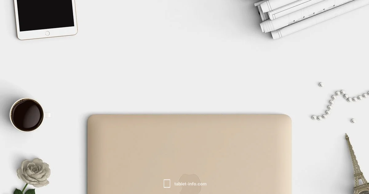 iPad vs Tablet - Tablet Info